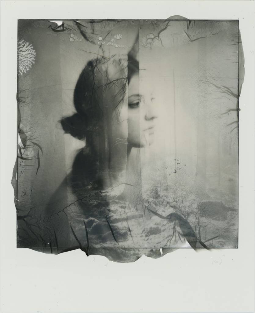 Queen of the Fauns I par Herr Merzi, Photographie, Film instantané ...