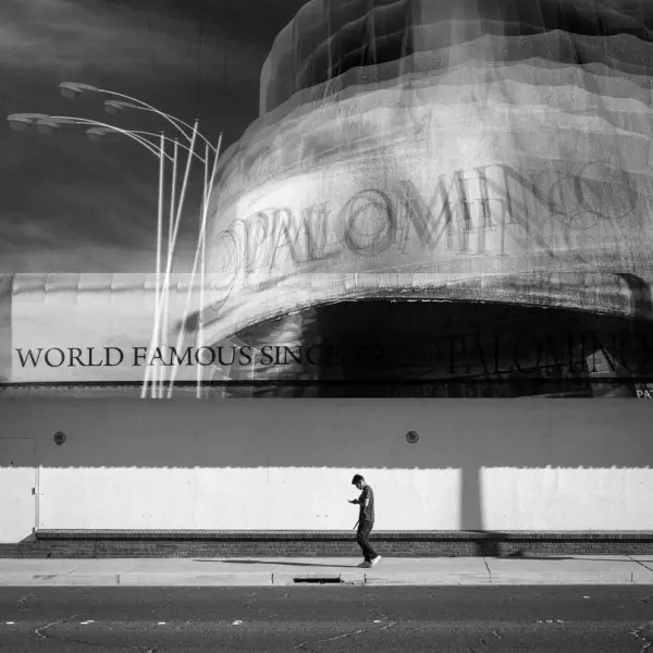 Palomino - In Plain Sight Series by Cida De Aragon