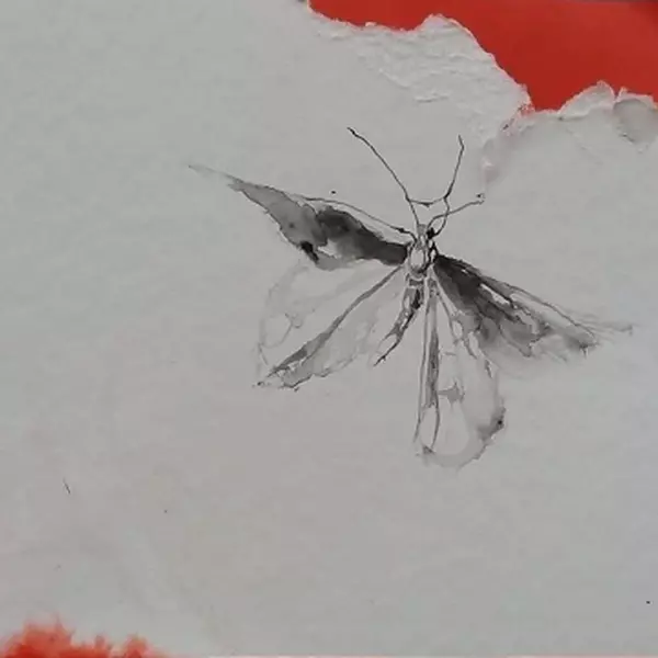 Last butterfly by Erik Seiler