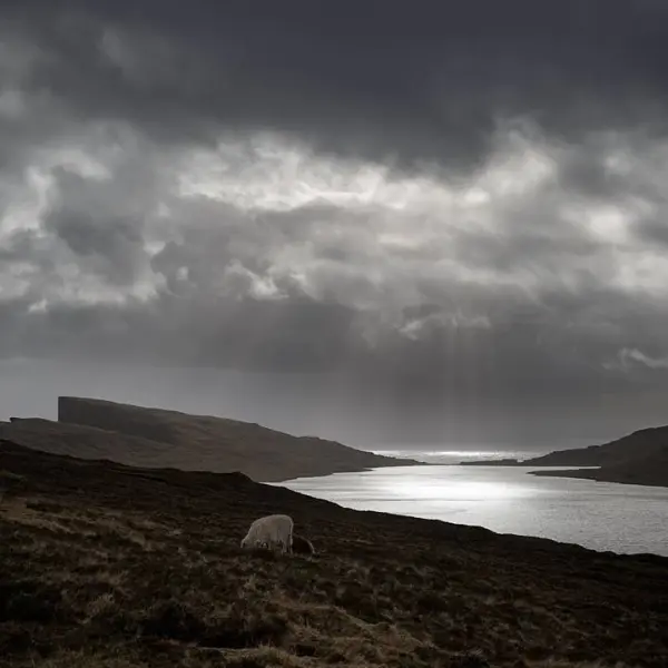 The Light Of Day X by Frank Hoogeboom in Photography Digital