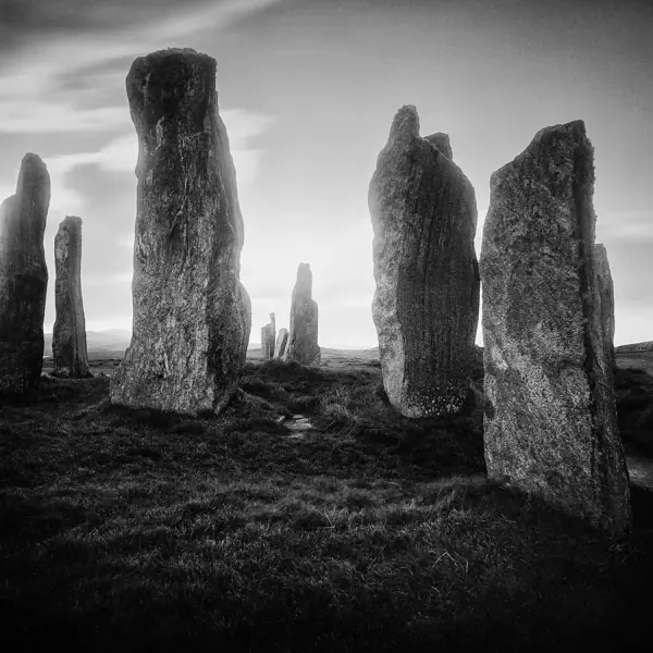 Celluloid Silence VII par Frank Hoogeboom dans Photographie Film moyen-format