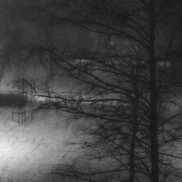 Night blizzard by Alex Lo