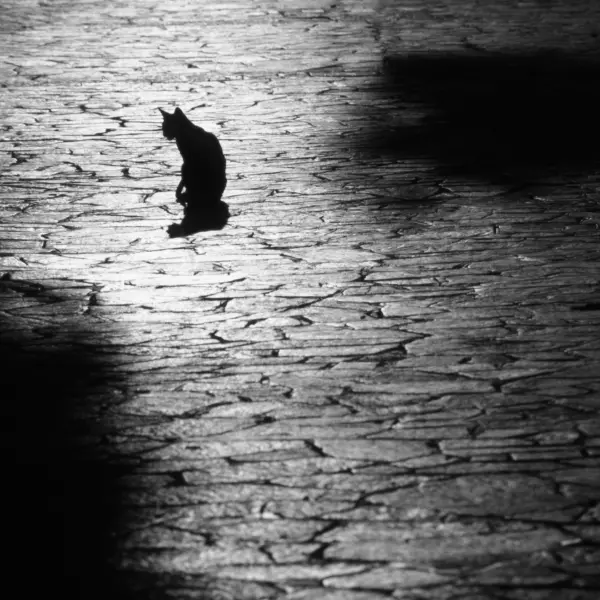 Place Saint-Marc (Venise, 1986) par Patrick LE GUEN dans Photographie film 24x36, 35mm