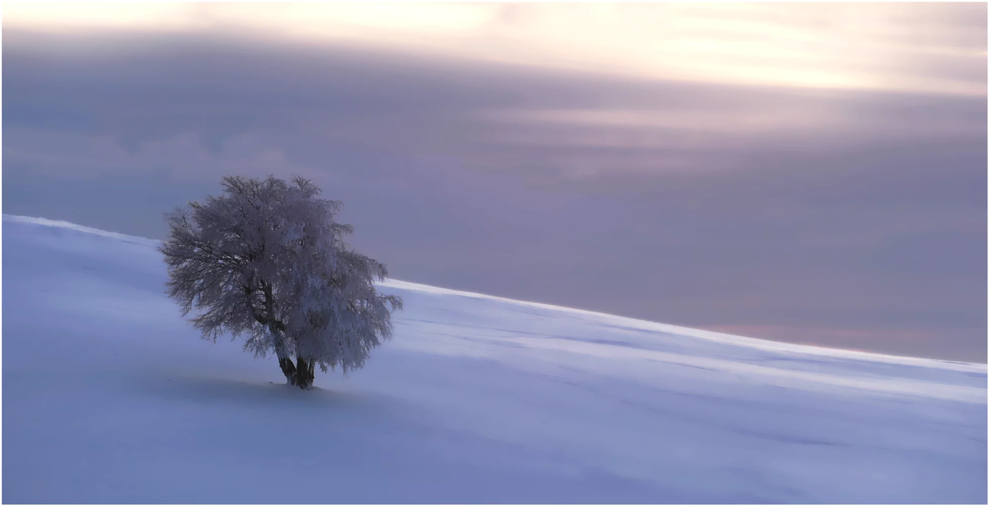 A very cold Day by Imi Koetz, Photography | Art Limited