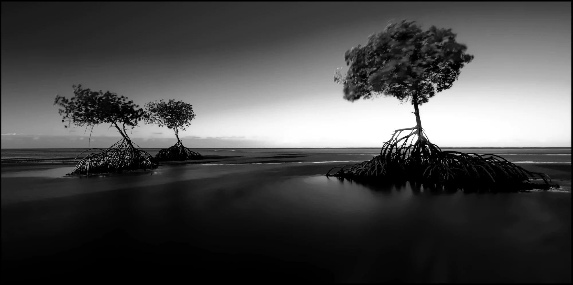 Mangrove Trees at the Pacific on a stormy Day by Imi Koetz, Photography ...