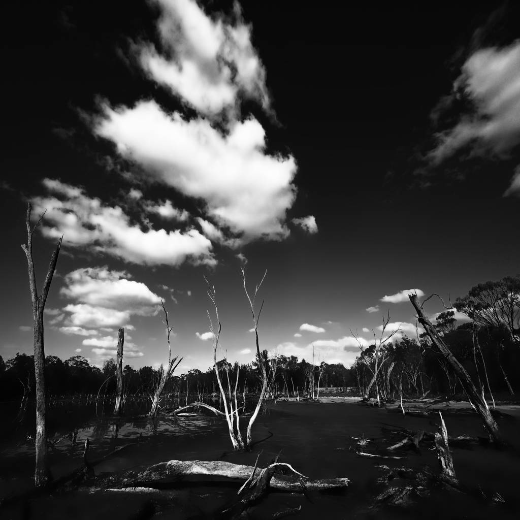 Nature Apocolypse Apocalypse Now, Western Australia by Imi Koetz, Photography | Art Limited