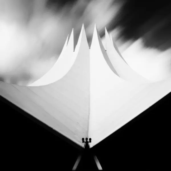 White Crown by Angelika Vogel in Photography Digital