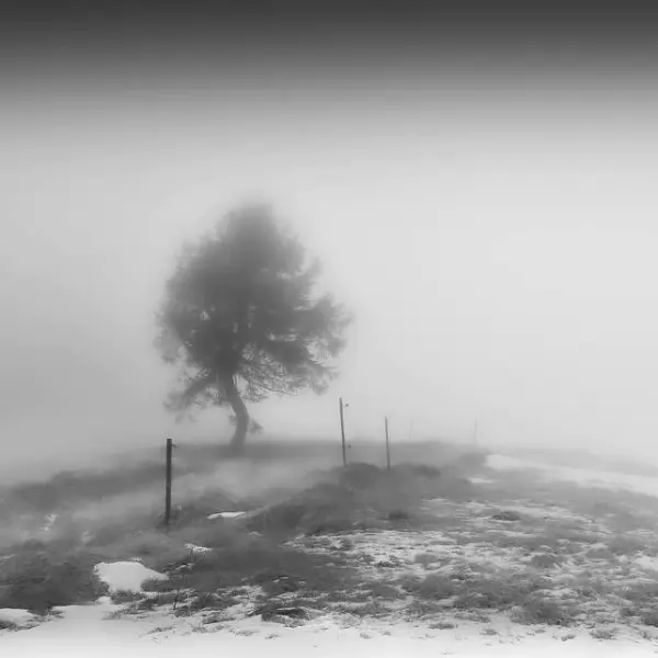 Une journée brumeuse dans les collines... by Angelika Vogel in Photography Digital