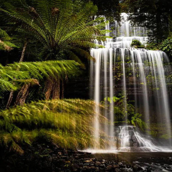 Gift Of Water And Light by Hugh Warren in Photography Digital