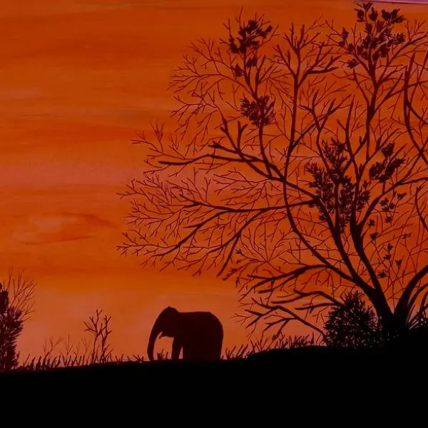 Sunset with Elephant by Sara Soyza