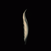 Zouhair Zhiri avatar