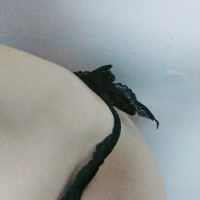 Interlockfinger 13, Amateur model
