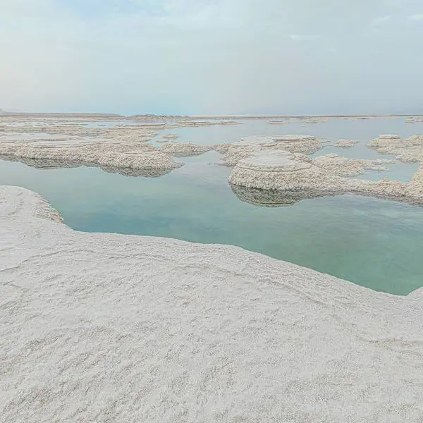 Dead Sea and salt on the shore by Lidiya Dmitrieva