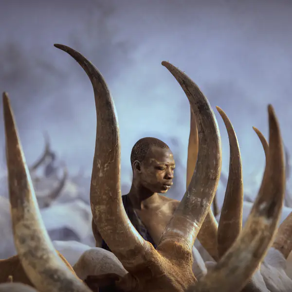 Mundari's cow by SVETLIN YOSIFOV in Photography Digital