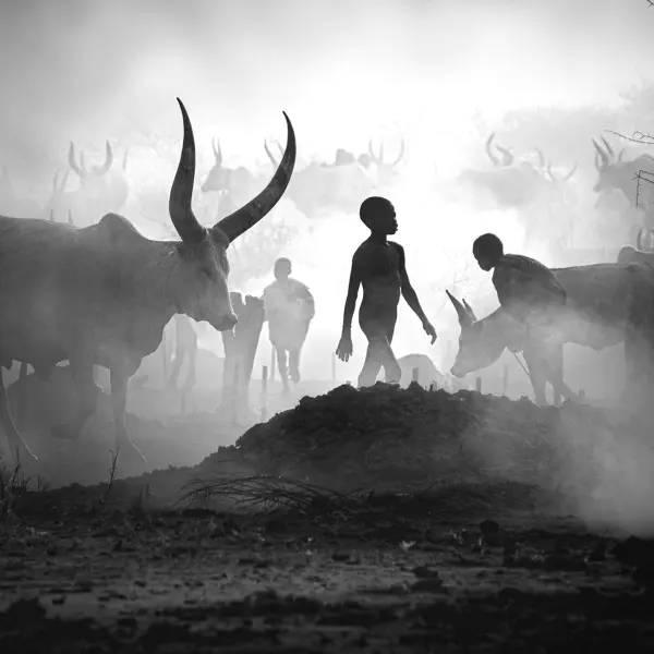 Mundari cattle camp by SVETLIN YOSIFOV in Photography Digital
