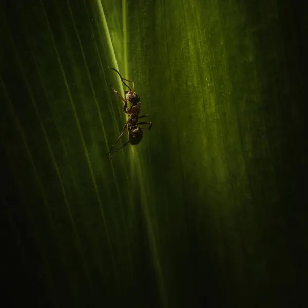 Nature by Andrey Vasilyev