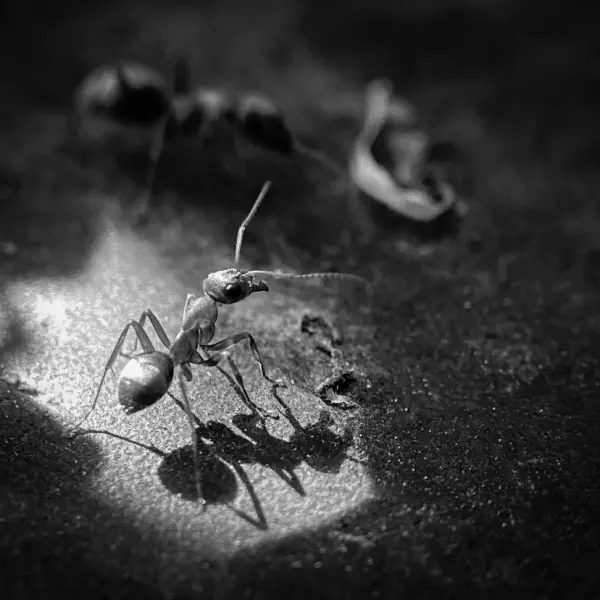 Untitled by Andrey Vasilyev