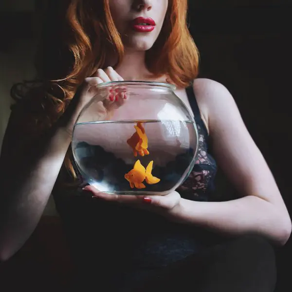 Gold Fish by Mara Linden in Photography Digital