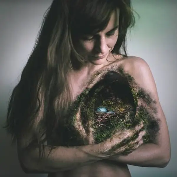 Inside nest by Bronzbogar in Digital art