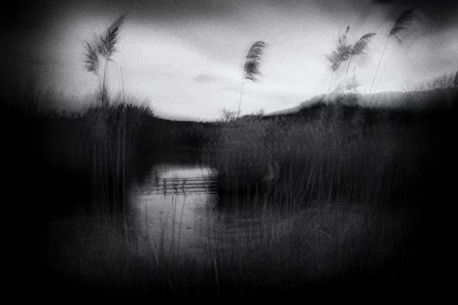Don't get too close... est une création de l'artiste Claude Bour. Catégorie oeuvre d'art. Fuji X-H2S. Intentional camera movement. 4 distinctions, 1K vues, 69 appréciations, 6 commentaires, 11 favoris.