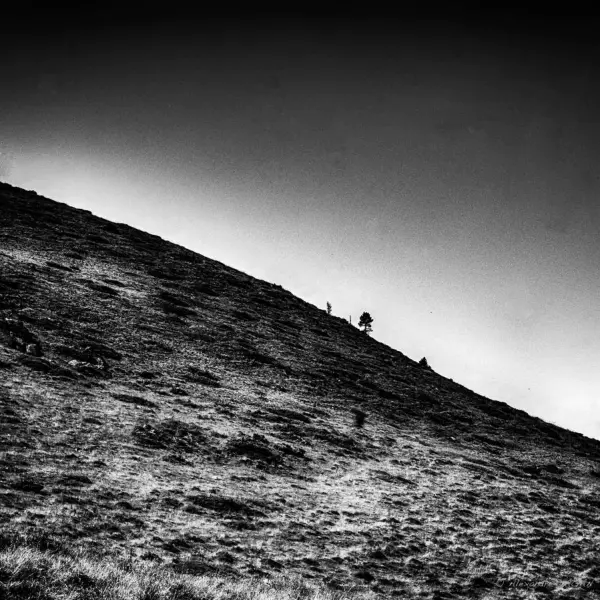 Alone in the dark by Alexandre Dagan