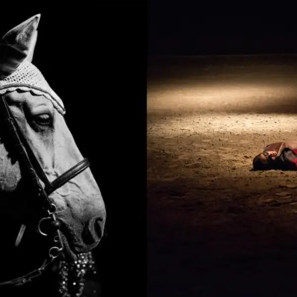 Amore à mort by Alexandre Dagan in Photography Digital