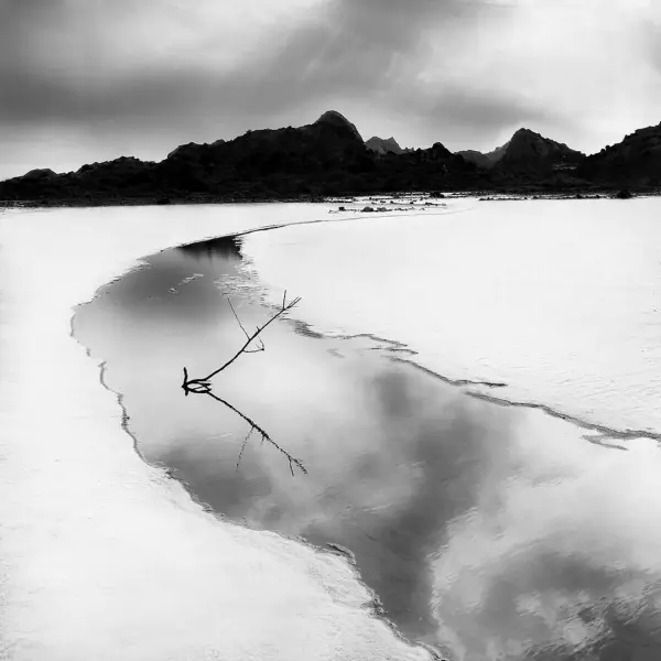 Branches and water by Mani Shahzadeh in Photography Digital