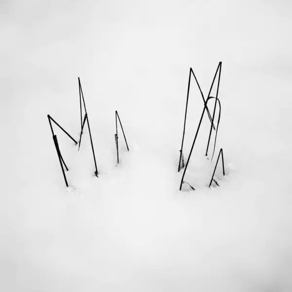 Mountain Walking n5 par Flavio Tosti dans Photographie