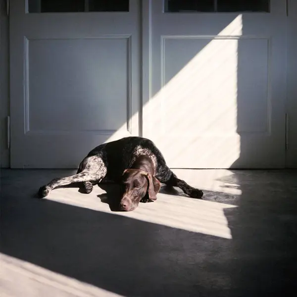 Baja by Michael Stawowy in Photography Medium-format film