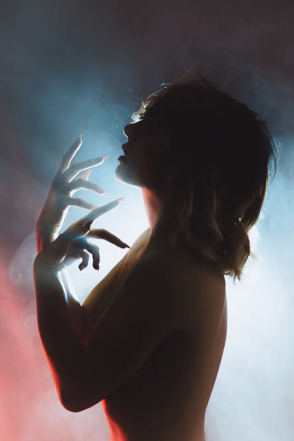 Blinded by Light is a creation by the artist Saeed Barzegar. Category art work. Model: Edgein. Nikon D7200, Sigma 50mm , Adobe Lightroom. 159 views, 8 appreciations.