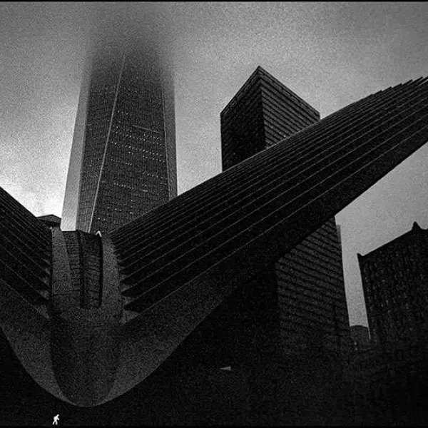 Wings in the Fog by Tareq Habib in Photography film 24x36, 35mm