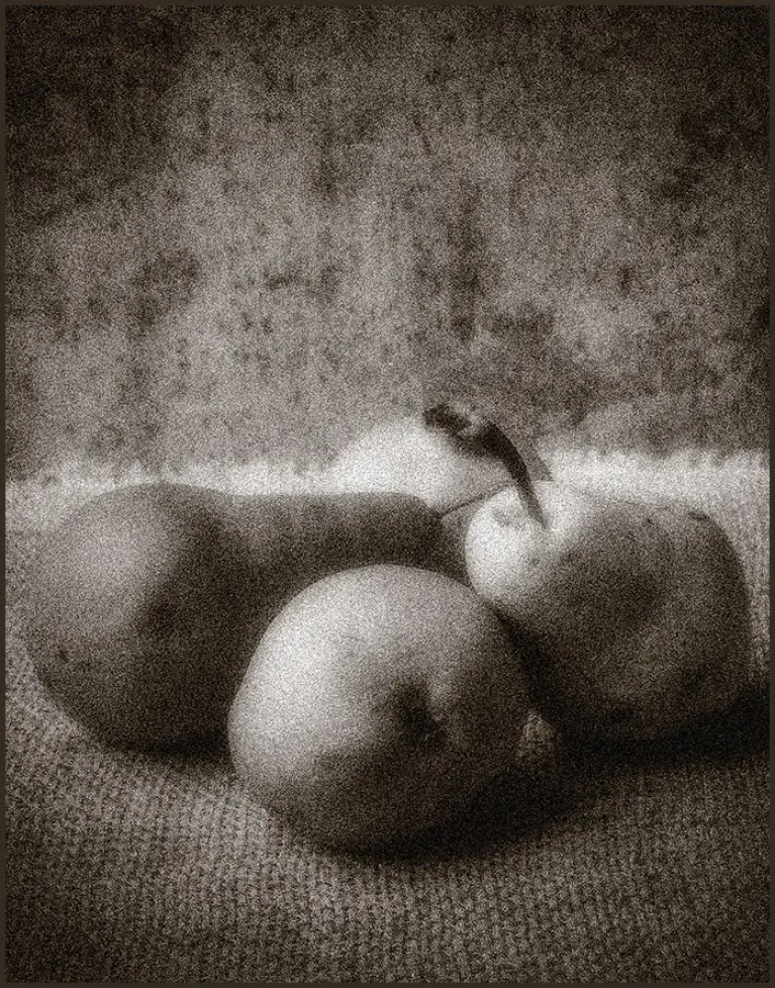 Pears is a creation by the artist Tareq Habib. Category art work. Bathed in a soft, grainy monochrome, this still life photograph evokes a timeless, almost ghostly presence of fruit—perhaps pears and apples—resting quietly on a textured cloth. The heavy…