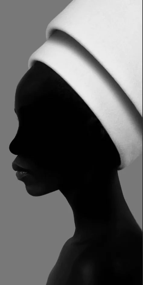 Untitled by VandeCamp Heesterbeek, Photography, Digital | Art Limited