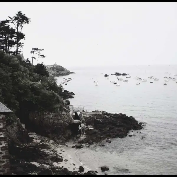 Paradise by Delphine Absinthia